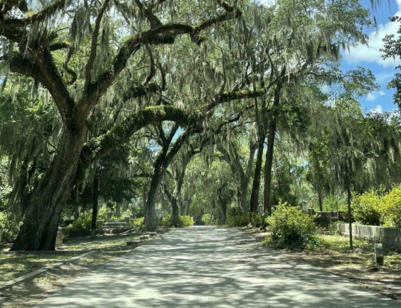 Tombs of Savannah: Bonaventure Cemetery Experience - Frequently Asked Questions