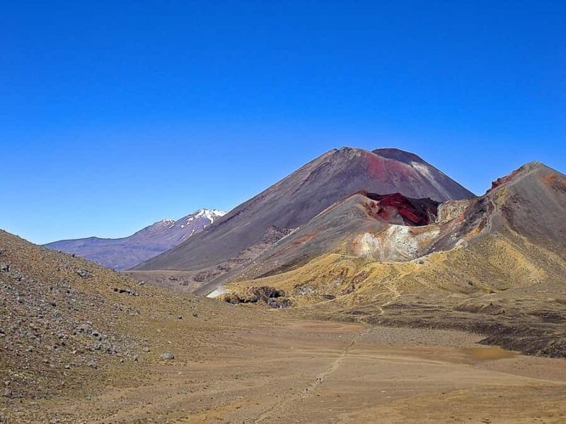 Tongariro Alpine Crossing: Round-Trip Shuttle Service - What Makes This Shuttle Service Stand Out?