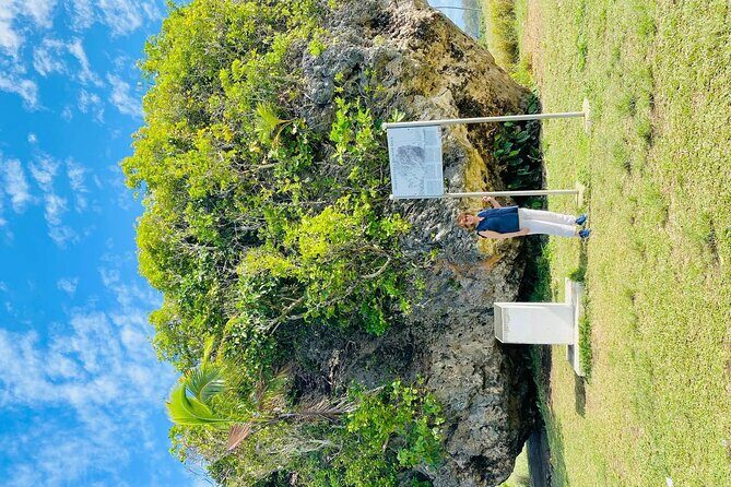 Tongatapu Island Tour - Who Will Love This Tour?