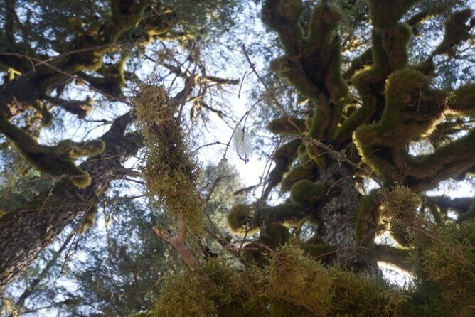 Tonsina Beach Hike with Seward Guided Hikes - Wrapping It Up