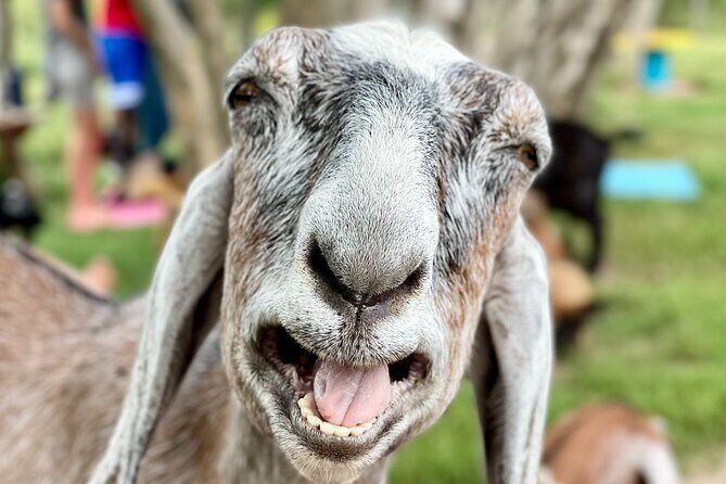 Toodle Tour in Port Hope Ontario - Key Points