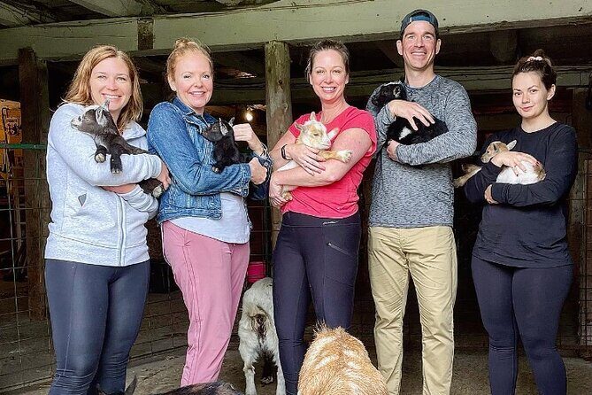 Toodle Tour in Port Hope Ontario - Frequently Asked Questions