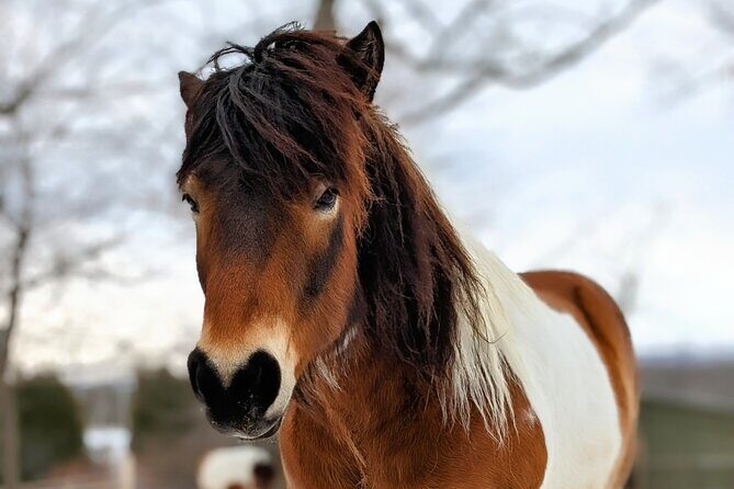 Toodle Tour in Port Hope Ontario - Final Thoughts