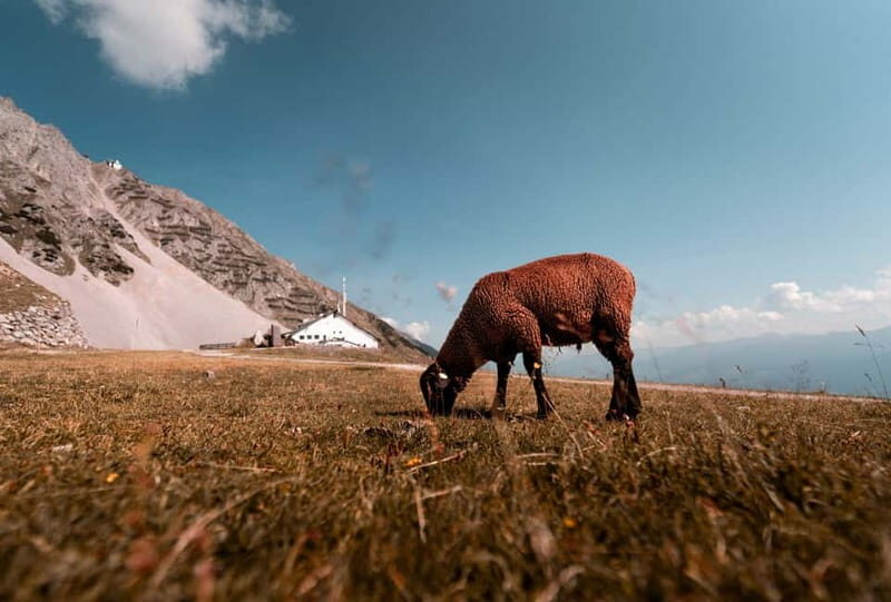 Top of Innsbruck: Roundtrip Cable Car Ticket - Starting Off: From Historic Old Town to the Sky