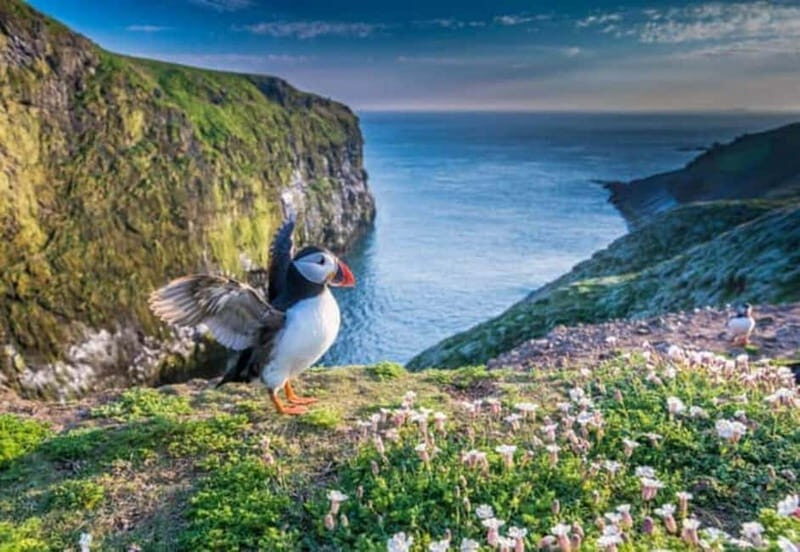 Top Of The Highlands Tour: John O' Groats, Caithness & More - Who Will Enjoy This Tour?