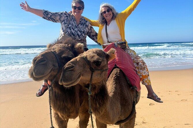 Top VIP Private Tour of Tangier from Estepona All Inclusive - In-Depth Look at the Tour Experience