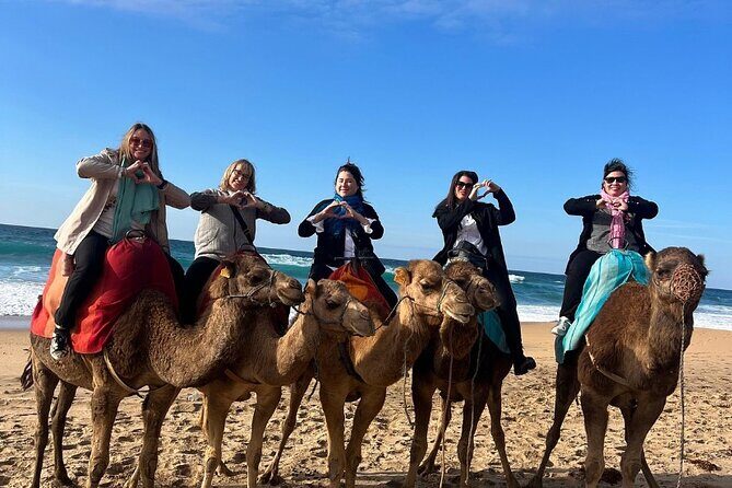 Top VIP Private Tour of Tangier from Estepona All Inclusive - Who Should Consider This Tour?