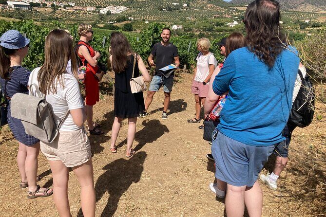 TOP WINE TOUR- Vineyard & cellar visit + 6 top wines + tapas - Exploring Malaga’s Best Wine Tour: A Guide to the Vineyard & Cellar Experience