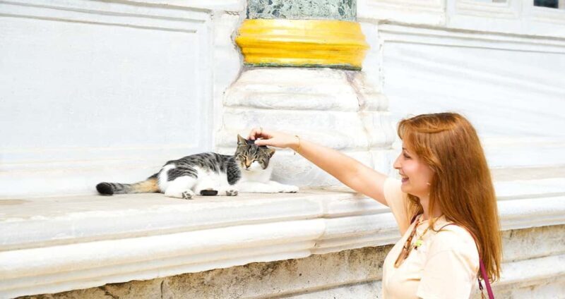 Topkapi Palace & Harem Tour + Bosphorus & Golden Horn Cruise - Who Should Consider This Tour?