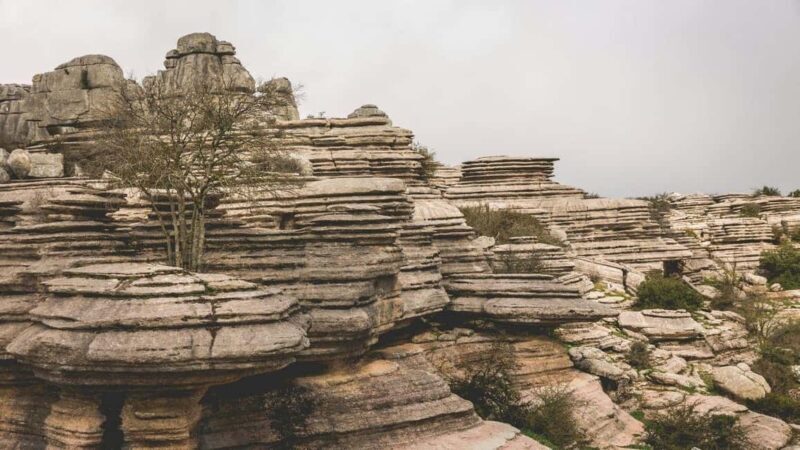 Torcal de Antequera: Geological Route with a Professional Guide - Key Points