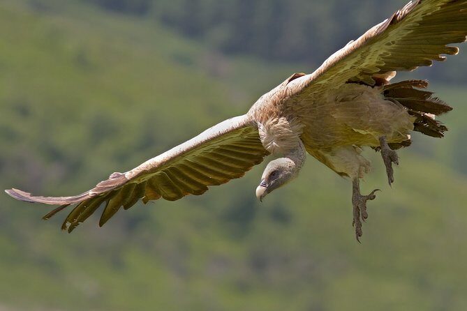 Torcal de Antequera Hiking Tour from Málaga - FAQs