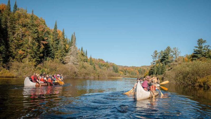 Toronto: Algonquin Park and Ragged Falls Day Trip - What to Expect on This Day Trip
