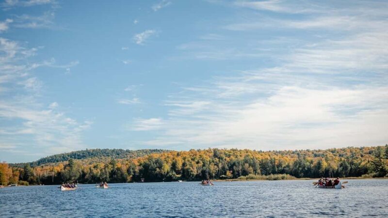 Toronto: Algonquin Park and Ragged Falls Day Trip - Who Is This Tour Best For?