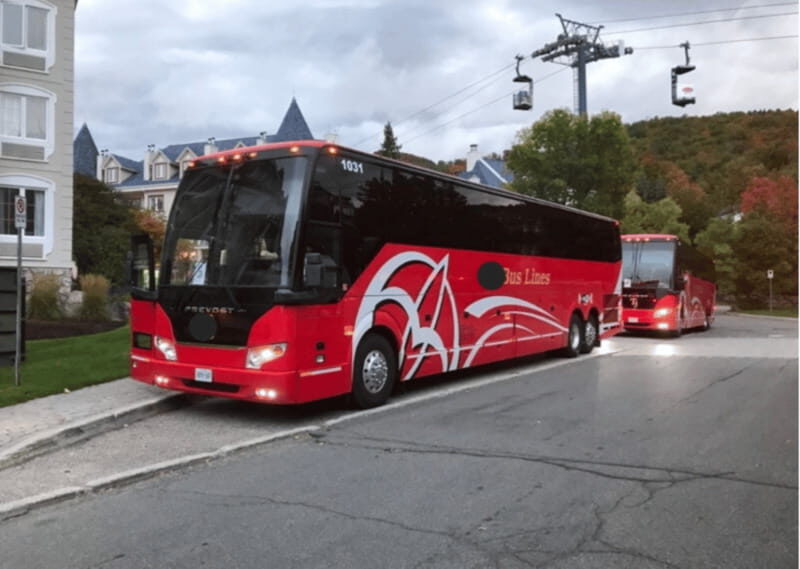 Toronto and Niagara Falls: Full-Day City and Nature Tour - Transition to Niagara Falls