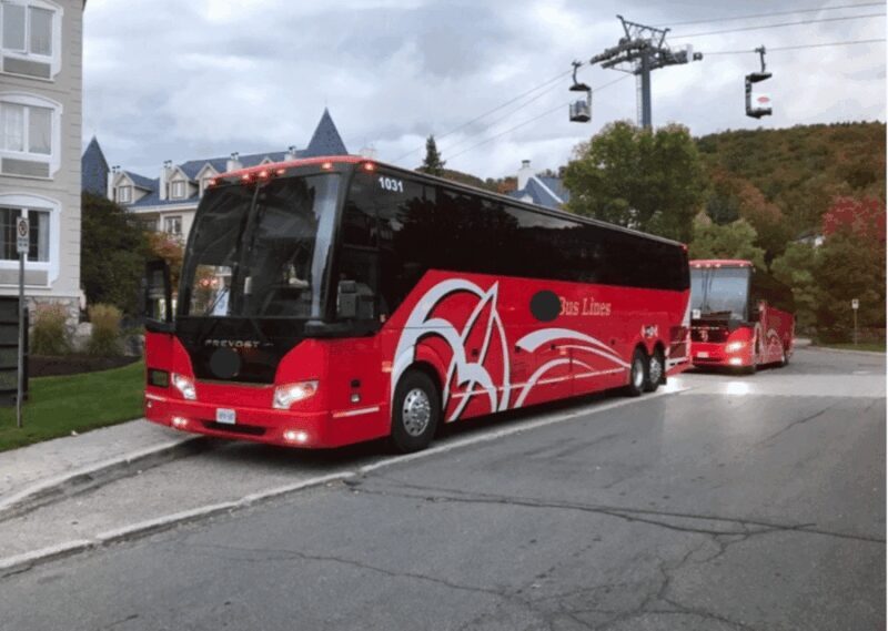 Toronto and Niagara Falls: Full-Day City and Nature Tour - The Return Journey and Reflection