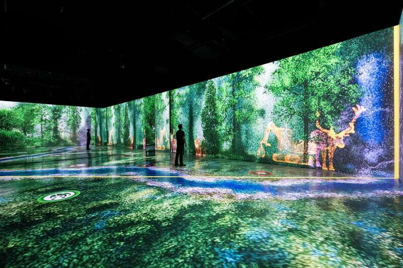 Toronto: Arcadia Earth, Immersive Experience Anytime Ticket - Key Points