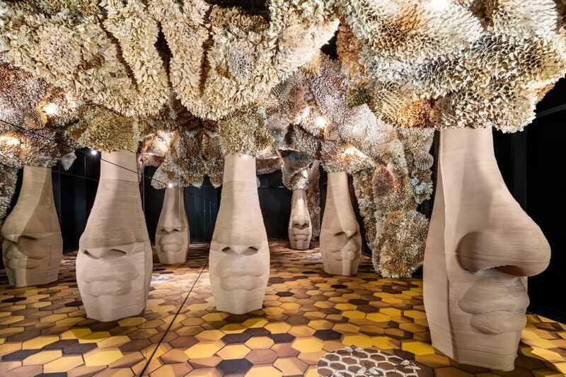 Toronto: Arcadia Earth, Immersive Experience Anytime Ticket - Accessibility and Practical Details