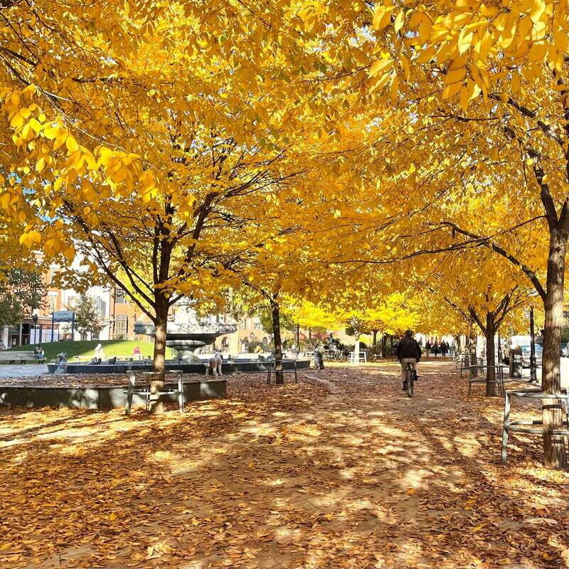 Toronto: City Walking Tour - Key Points