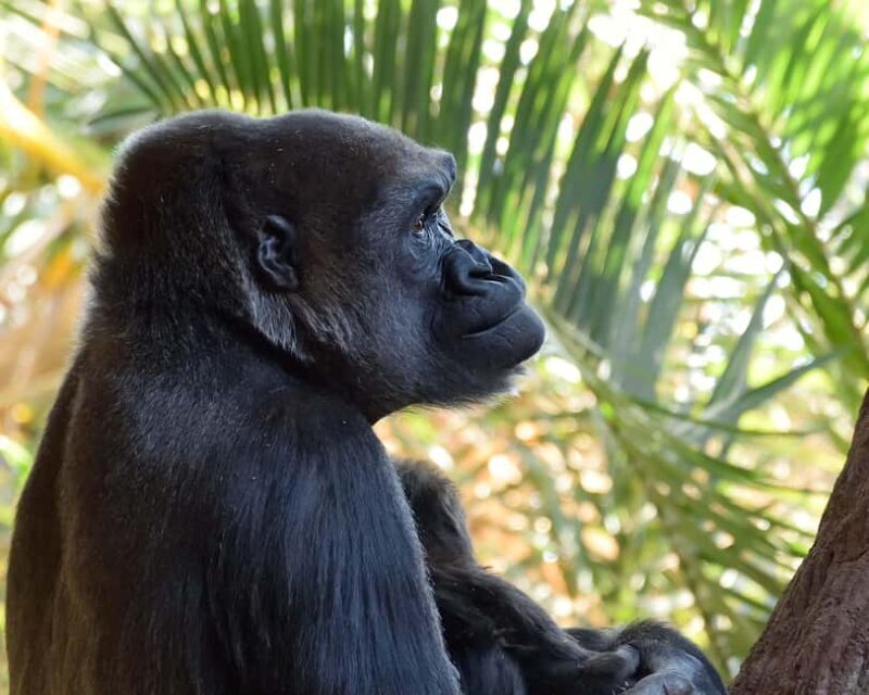 Toronto CityPASS®: Save up to 38% at 5 Top Attractions - Final Thoughts