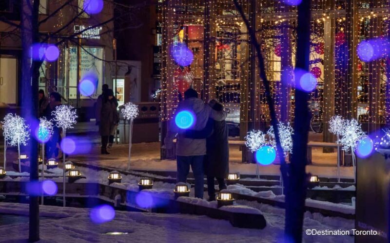 Toronto: Festive Lights Bus Tour - Key Points