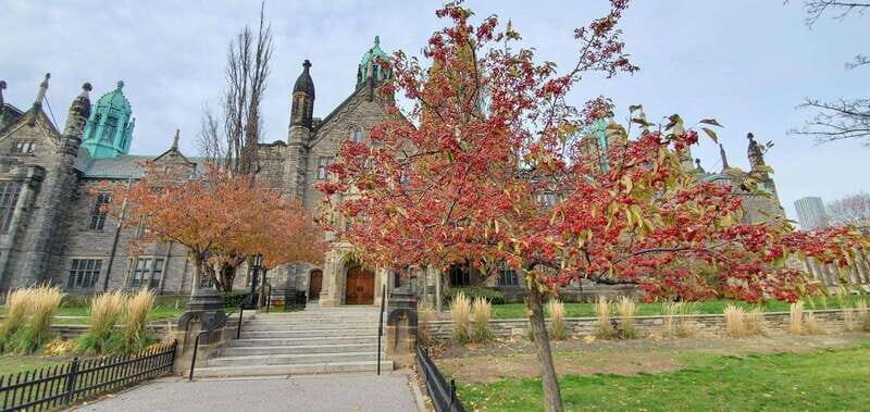 Toronto: Highlights Drive and Walking Tour - Who Would Love This Tour?