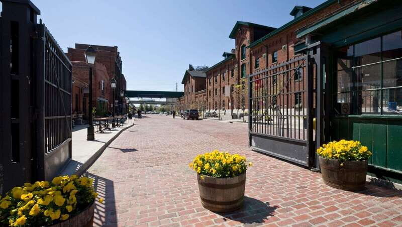 Toronto: Highlights & Hidden Gems Private Tour With a Local - Final Thoughts — Is It Worth It?