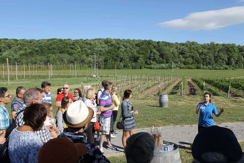 Toronto: Niagara Falls Day Tour with Boat Option - FAQ