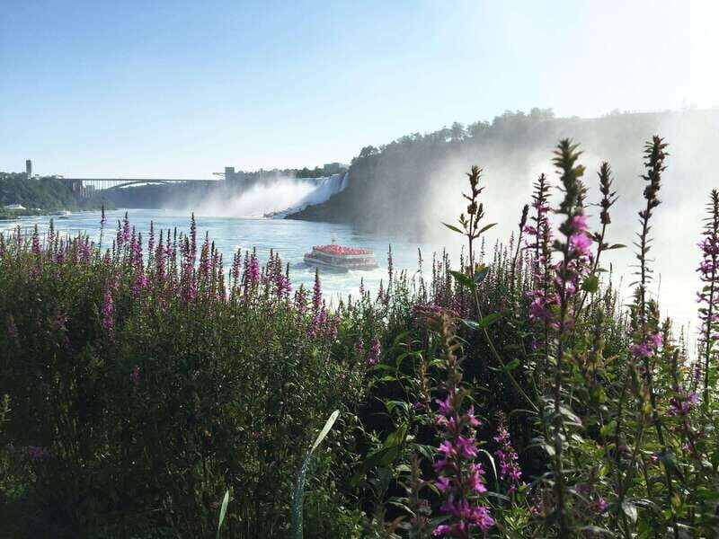 Toronto: Niagara Falls Day Tour with Hornblower Cruise - The Price and Overall Value