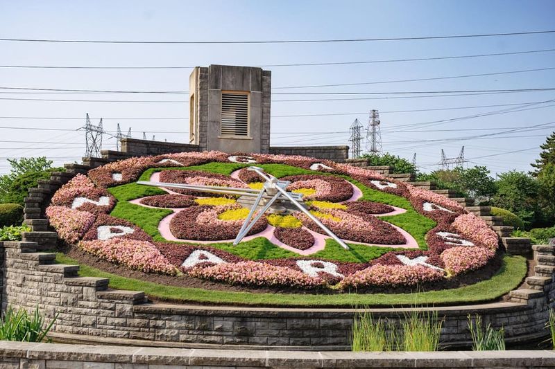 Toronto: Niagara Falls Day Tour with Optional Boat Cruise - Winter reality check: what happens when Hornblower isn’t operating