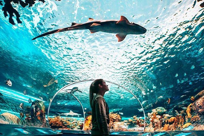 Toronto, Niagara Falls & Thousand Islands VIP 2Day Trip - Things to Keep in Mind