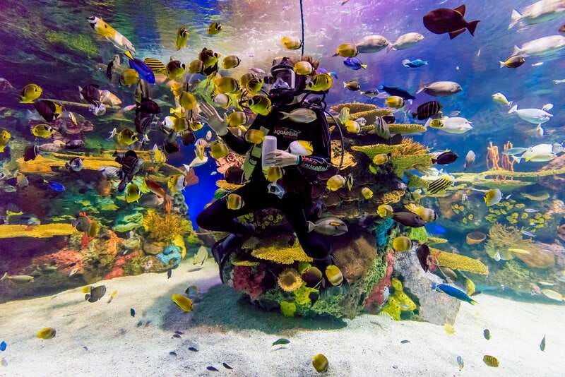 Toronto: Ripley's Aquarium of Canada Entry Ticket - What You’ll See: Nine Galleries and 20,000+ Animals