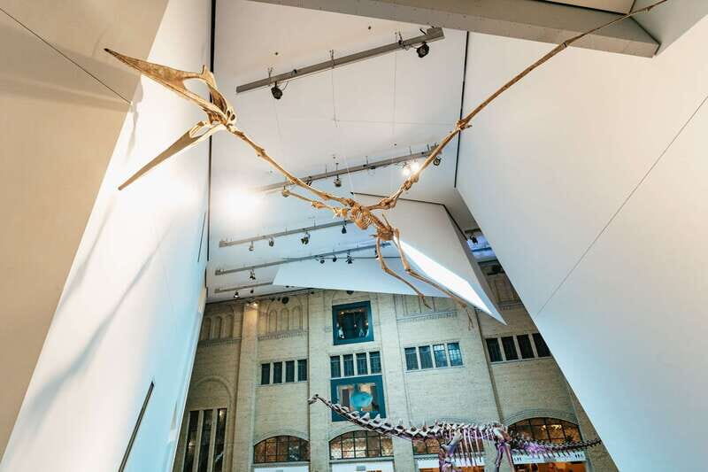 Toronto: Royal Ontario Museum Admission Ticket - The Layout and Flow