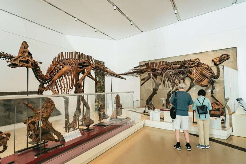 Toronto: Royal Ontario Museum Admission Ticket - Special Exhibits and Extra Costs