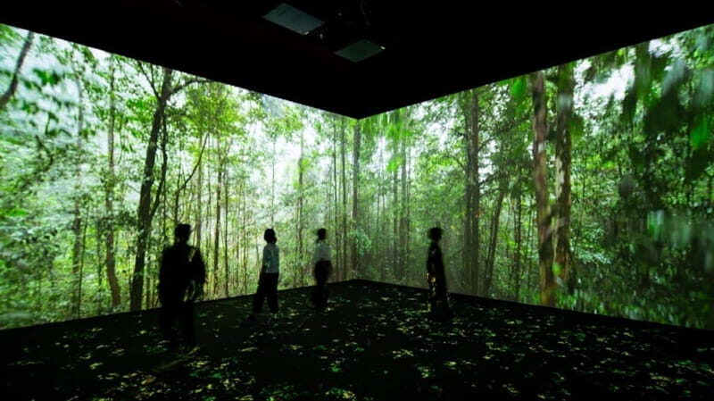 Toronto: Royal Ontario Museum Special Exhibits Voucher - Who Would Love This Experience?