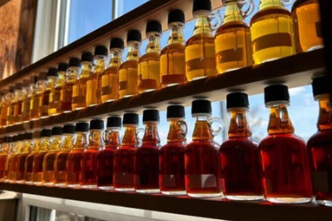 Toronto to Niagara Falls VIP Maple and Wine Tastings - What Guests Are Saying