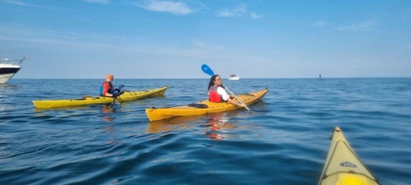 Torquay: 90-Minute Sea Kayak Taster Tour - The Value of the Tour