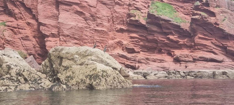 Torquay: Canoe Rental - The Experience Provider: Babbacombe Watersports