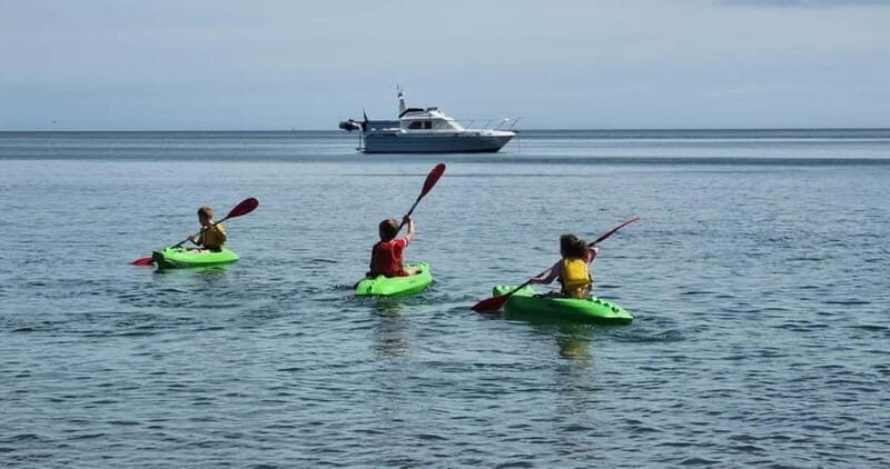 Torquay: Kayak Rental with Sit-on-Top and Sit-in Kayaks - Whats Included and How It Works