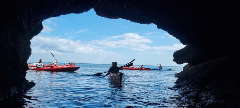 Torquay: Wildlife, Bushcraft and Sea Cave Kayak Safari - What to Expect from the Tour
