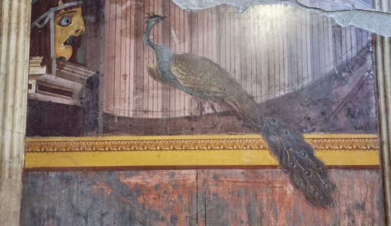 Torre Annunziata: Villa Poppea Smartphone Audio Guide - The Experience Itself