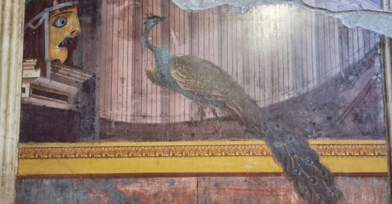 Torre Annunziata: Villa Poppea Smartphone Audio Guide - Who Will Love This Tour?