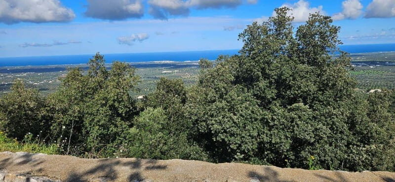 Torre Canne: E-Bike Tour in Coastal Dune Park & Sea Views - Key Points