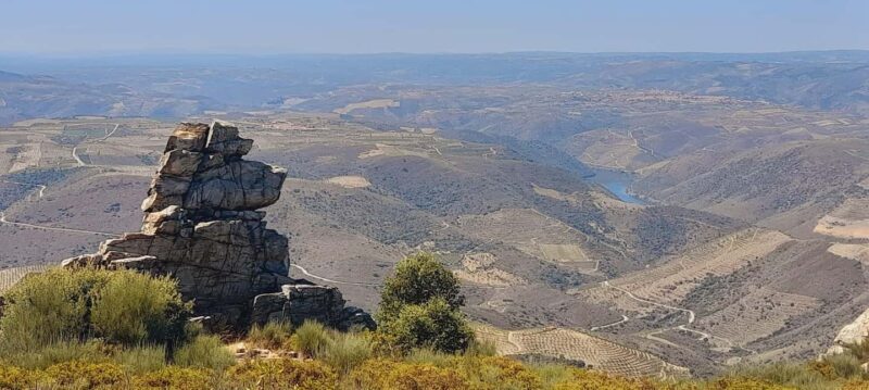 Torre de Moncorvo: Douro Valley Wine Farm & Rural Workshops - Who Is This Tour Best For?