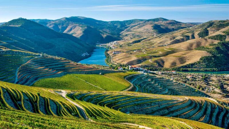 Torre de Moncorvo: Douro Valley Wine Farm & Rural Workshops - FAQ