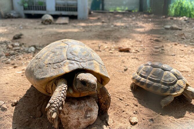 Torre Guaceto EBike Tour - Discovering Torre Guaceto on Two Wheels and in the Water