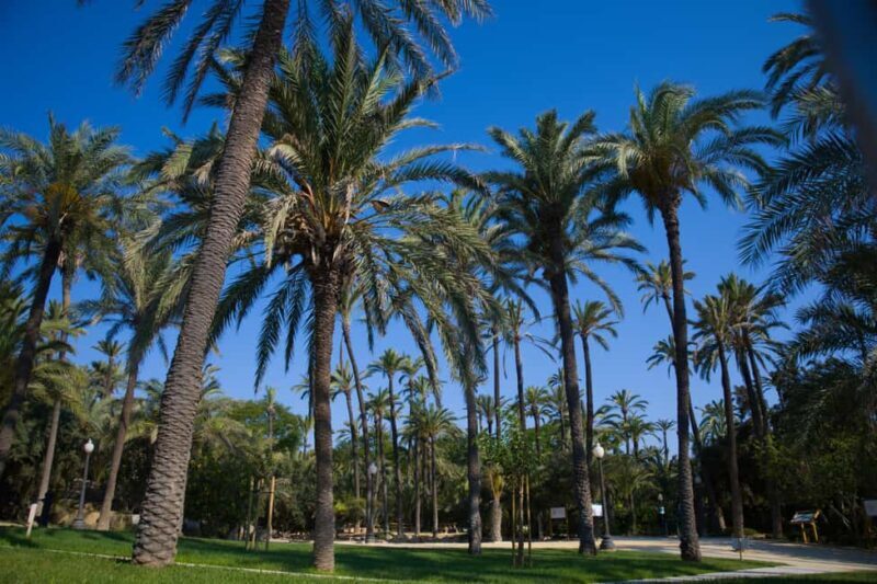 Torrevieja: Local Market and Panoramic Tour - Who Is This Tour Best Suited For?