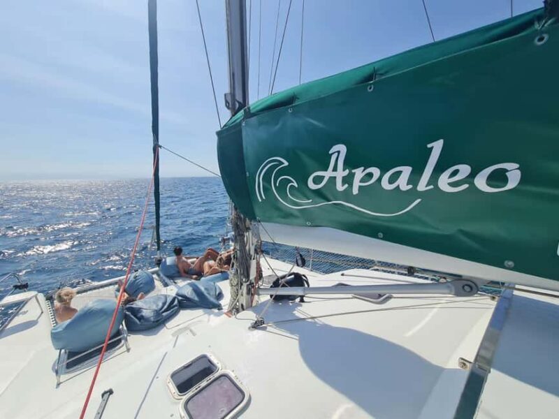 Torrevieja: Tour the harbor with the catamaran Apaleo - What to Expect During Your Harbor Tour