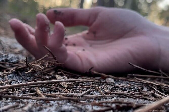 Torrid Tales True Crime Walking Tour of St Augustine - What to Expect from the Torrid Tales True Crime Tour