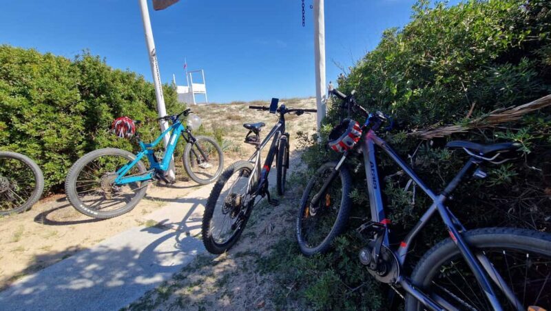 Tortolì Tour in ebike between pine forest and Saracen towers - What to Expect from the Sardinian ebike tour
