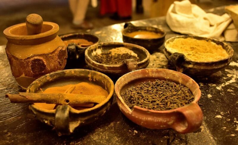 Toru: Full-Day Tour of the City of Copernicus - What You Need to Know About the Tour Details